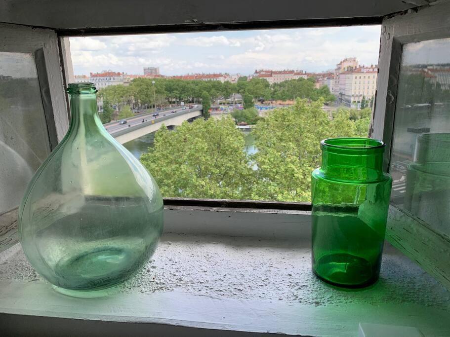 Le Bleu Face Au Rhone By Chez Alam Lyon